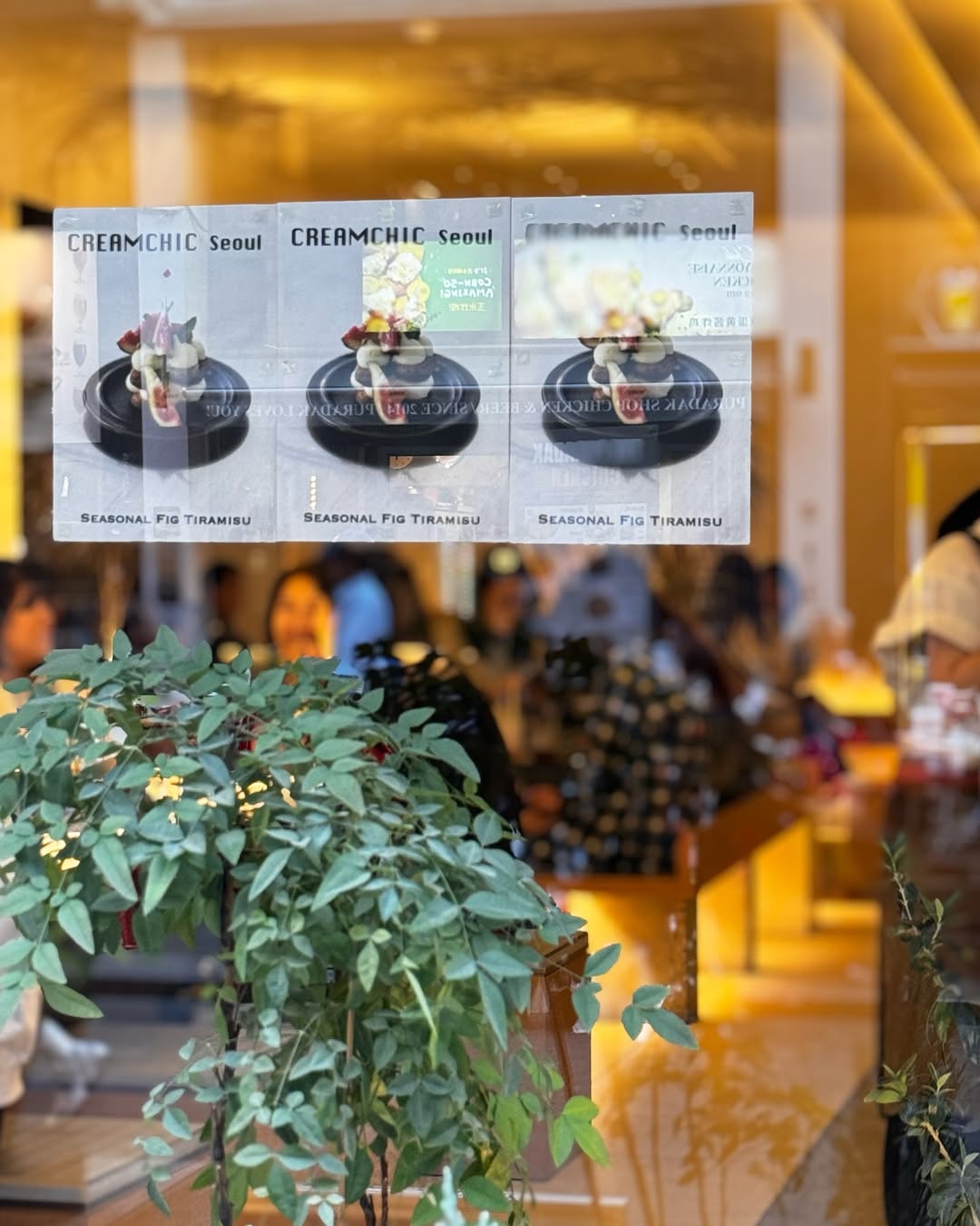 YlOPIdaYtZy45OgyzGJYzPvl